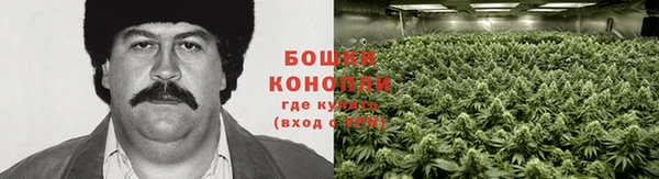 прущая мука Магадан